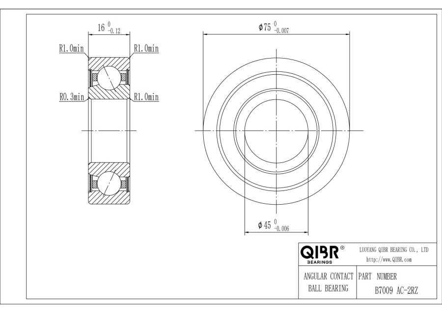 B7009 AC-2RZ