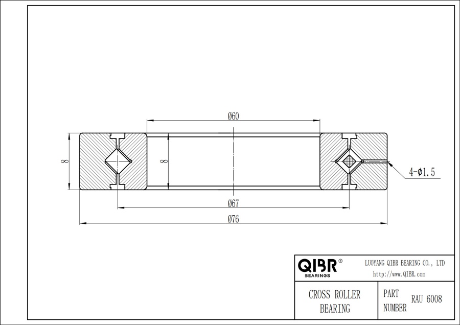 RAU 6008